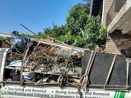 Best Office Cleanout  in Bell Nyon, CA